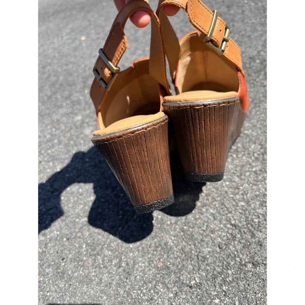 b.o.c. born concept